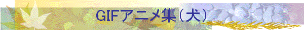 GIFAjWij