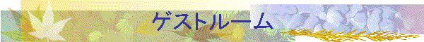 QXg[