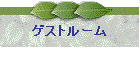 QXg[